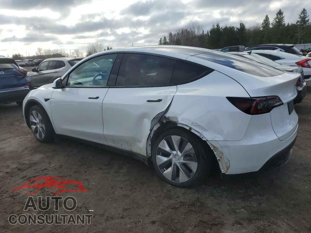 TESLA MODEL Y 2022 - 7SAYGDEE6NF358564