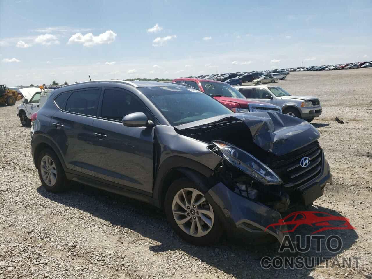 HYUNDAI TUCSON 2016 - KM8J33A42GU085016
