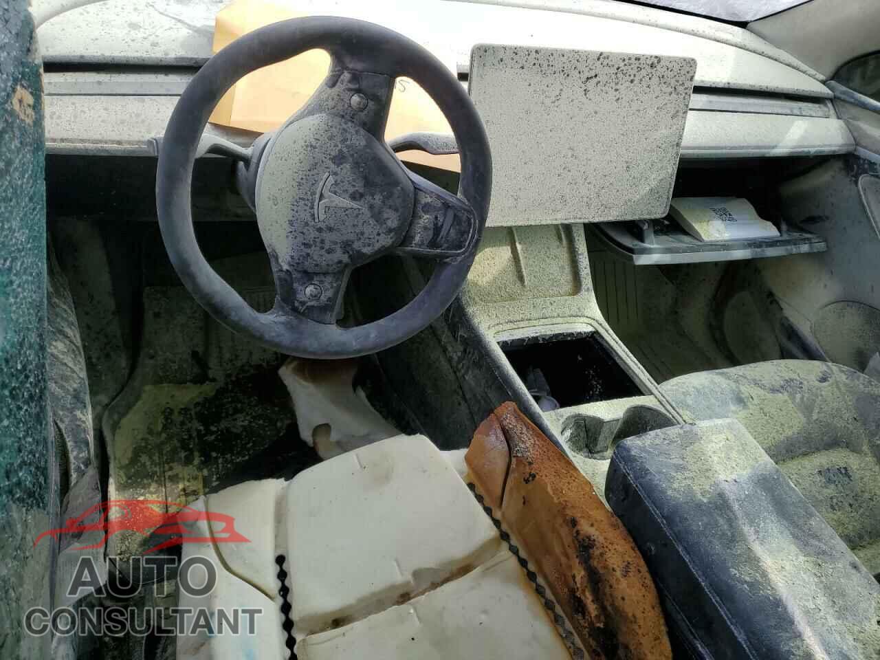 TESLA MODEL Y 2023 - LRWYGDFD6PC163418