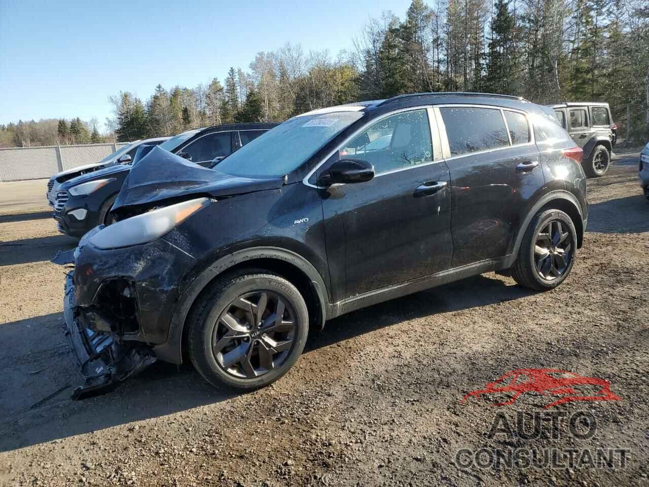 KIA SPORTAGE 2022 - KNDPNCAC5N7985453