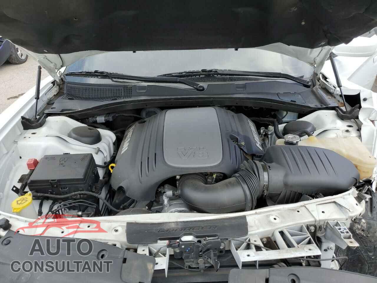 DODGE CHARGER 2019 - 2C3CDXCT8KH608464