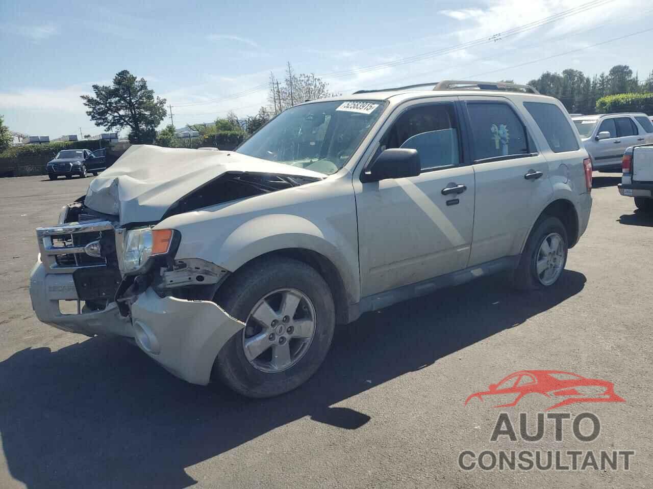 FORD ESCAPE 2009 - 1FMCU03GX9KA36513