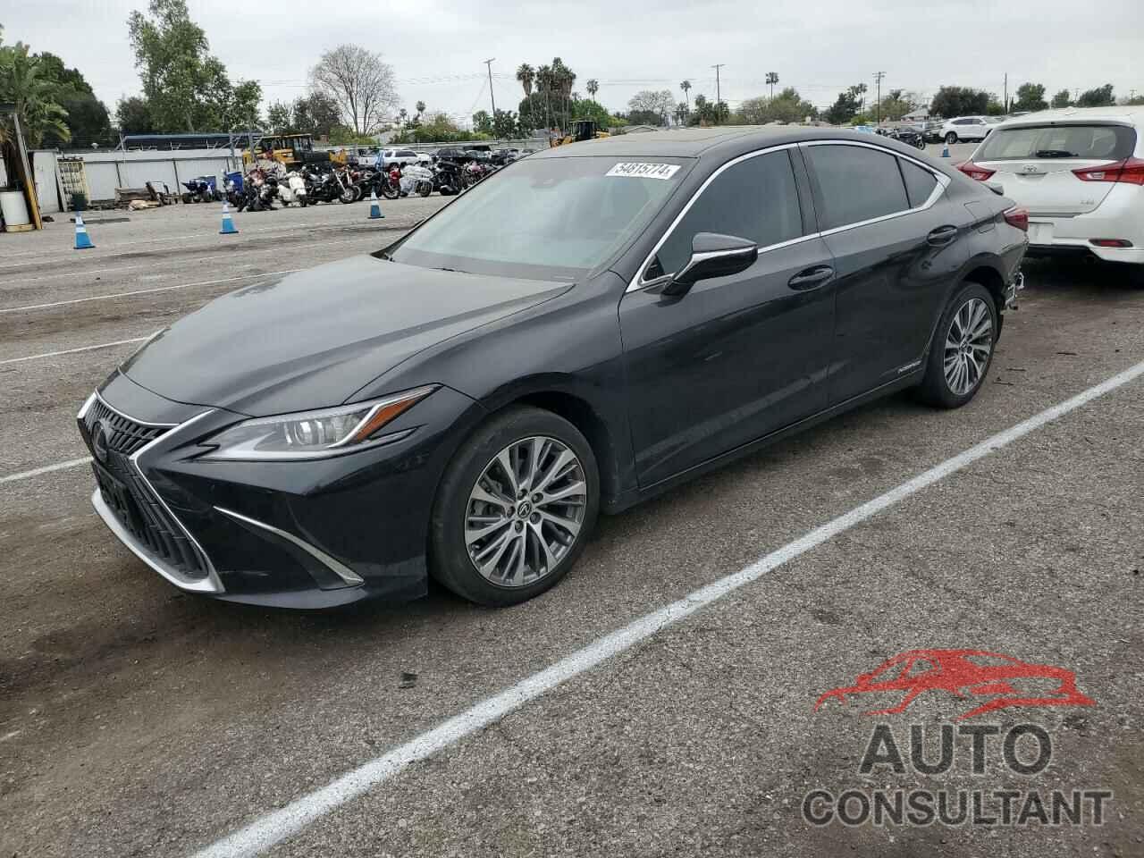 LEXUS ES300 2022 - 58ADA1C17NU026611