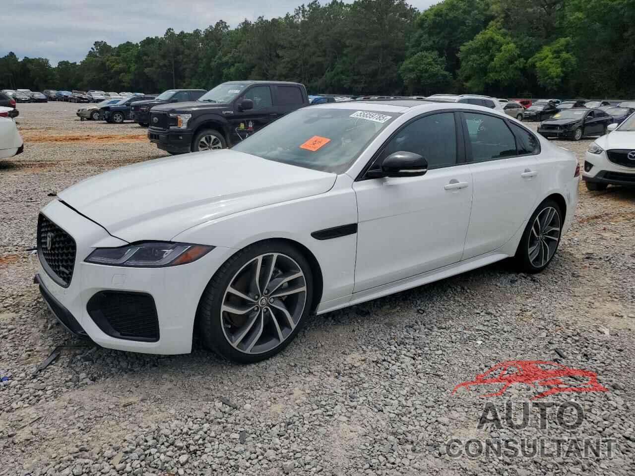 JAGUAR XF 2024 - SAJBL4GX2RCY95398