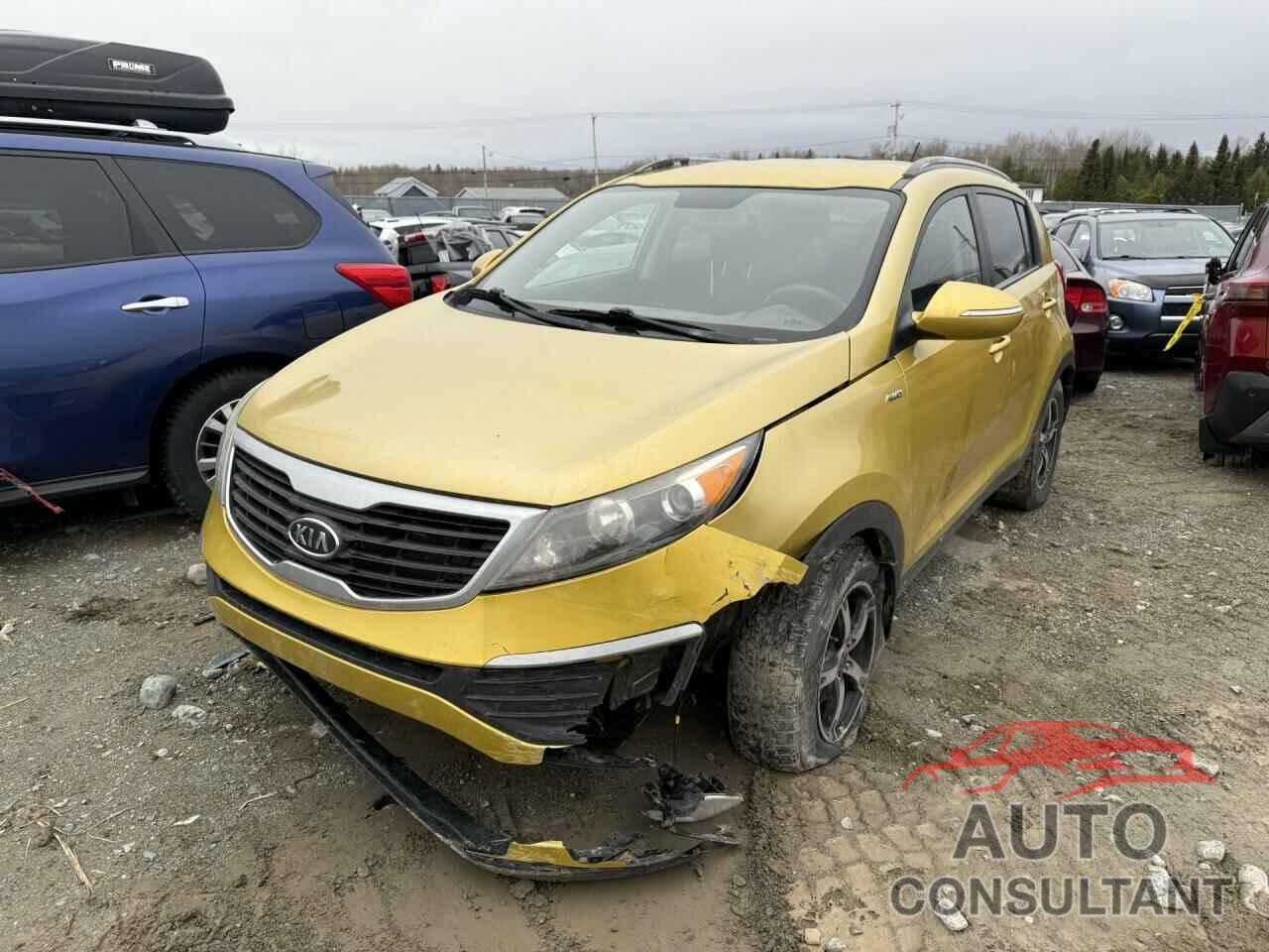 KIA SPORTAGE 2011 - KNDPBCA24B7135793