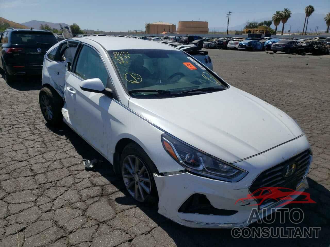 HYUNDAI SONATA 2019 - 5NPE24AF8KH782984