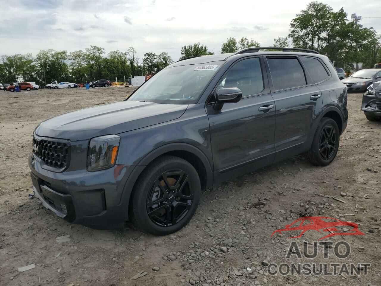 KIA TELLURIDE 2024 - 5XYP5DGC3RG431902