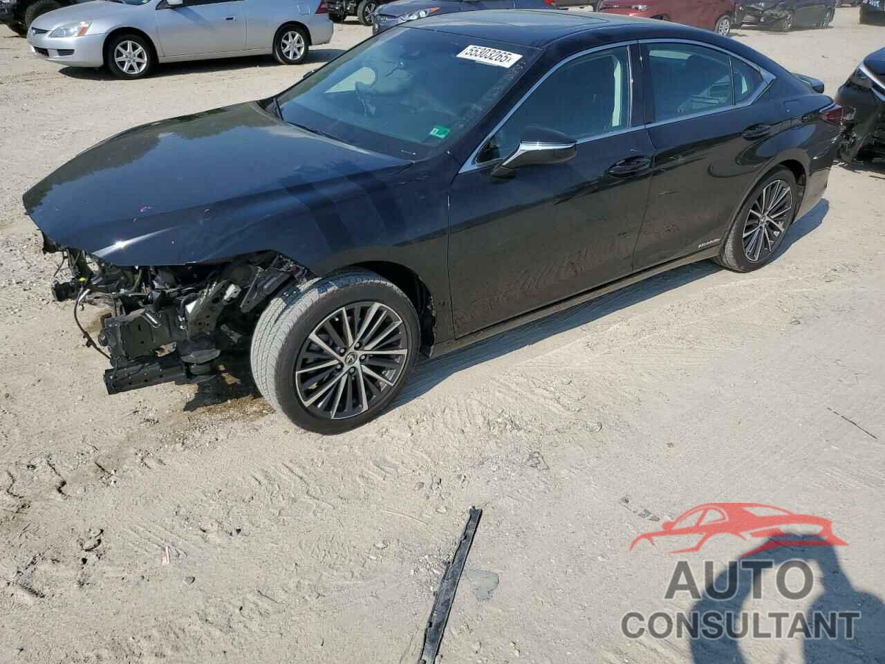 LEXUS ES300 2022 - 58ADA1C17NU023708