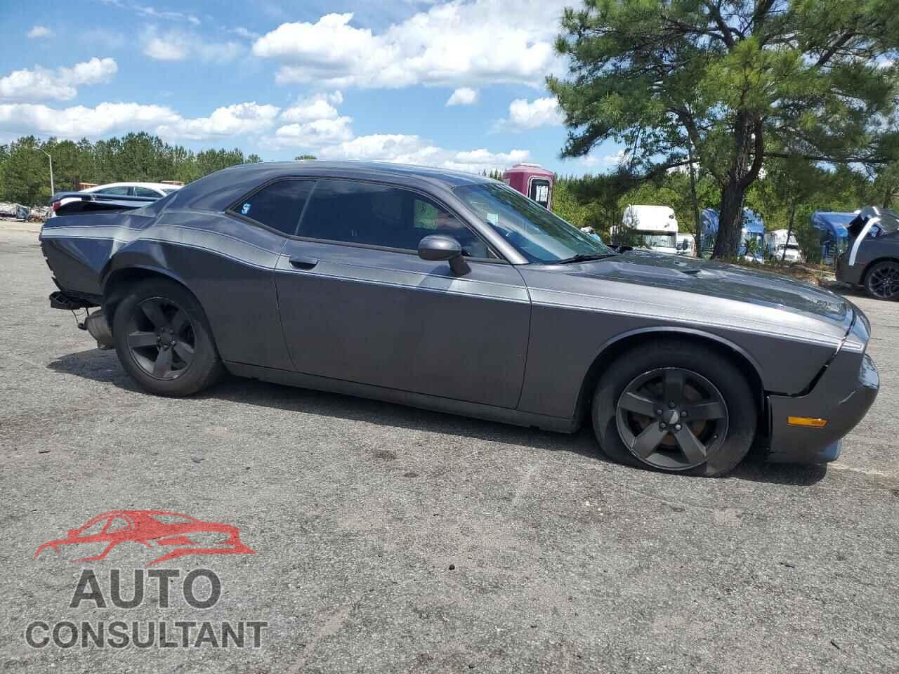 DODGE CHALLENGER 2013 - 2C3CDYAG3DH601047