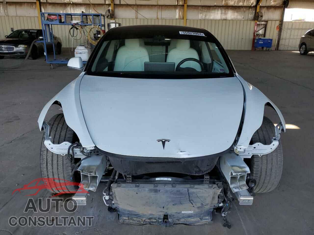 TESLA MODEL 3 2019 - 5YJ3E1EA5KF407631