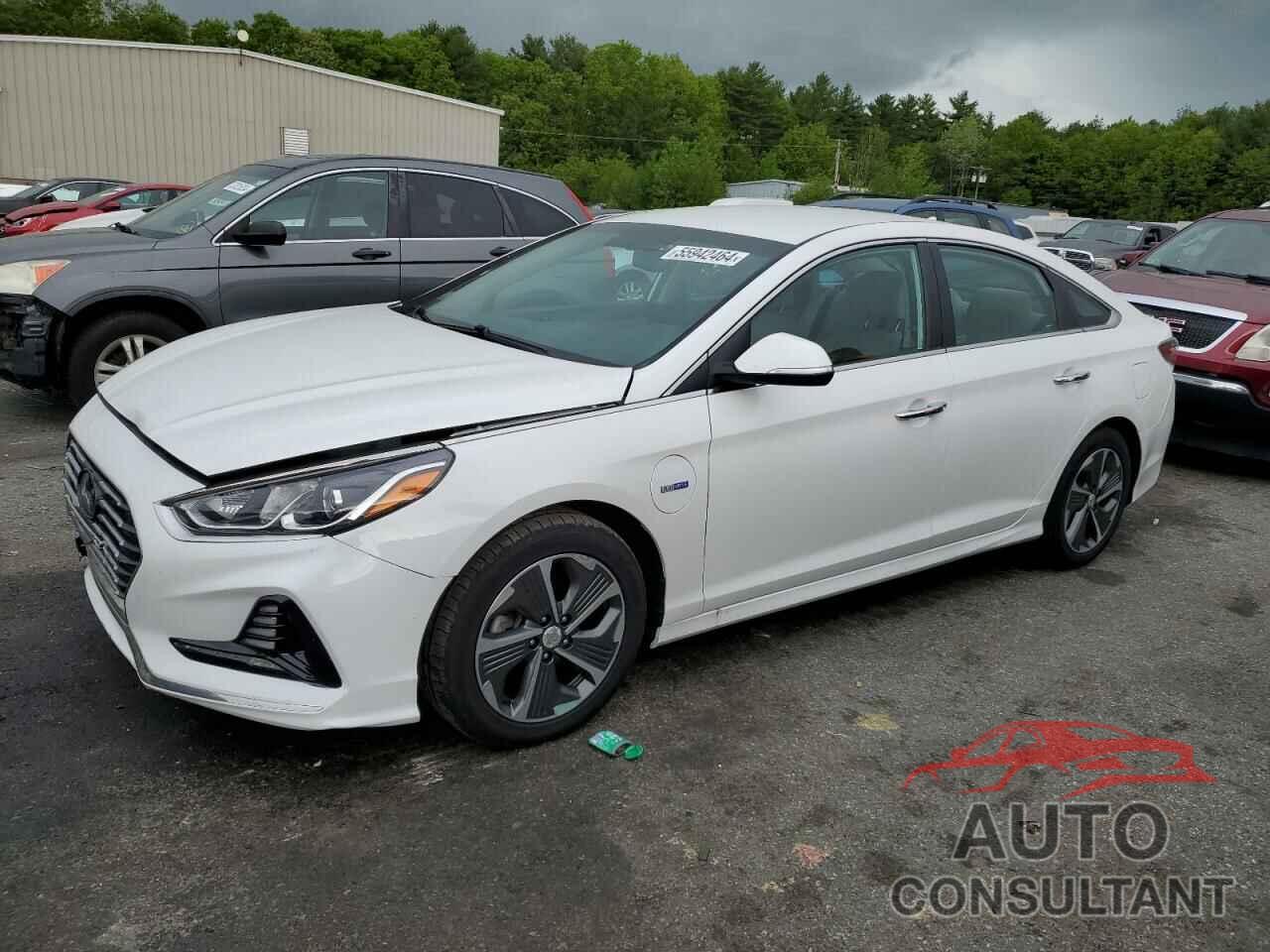 HYUNDAI SONATA 2019 - KMHE14L25KA093906