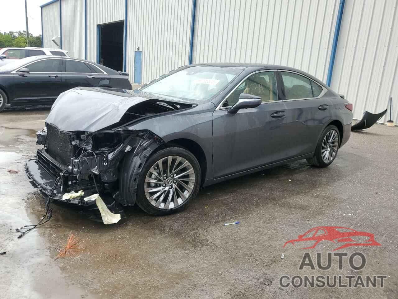 LEXUS ES300 2024 - 58AEA1C13RU049460