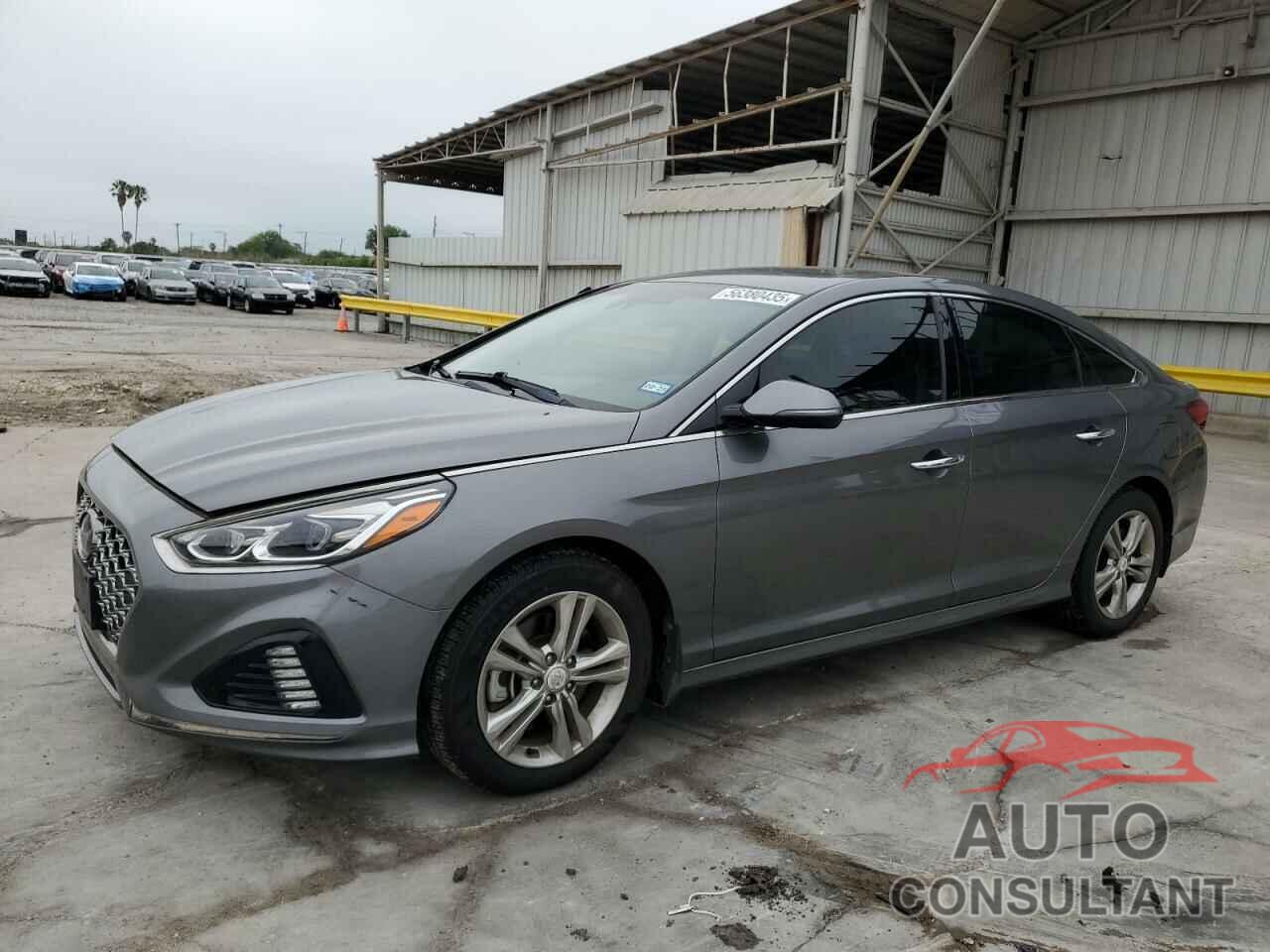 HYUNDAI SONATA 2019 - 5NPE34AF1KH808516