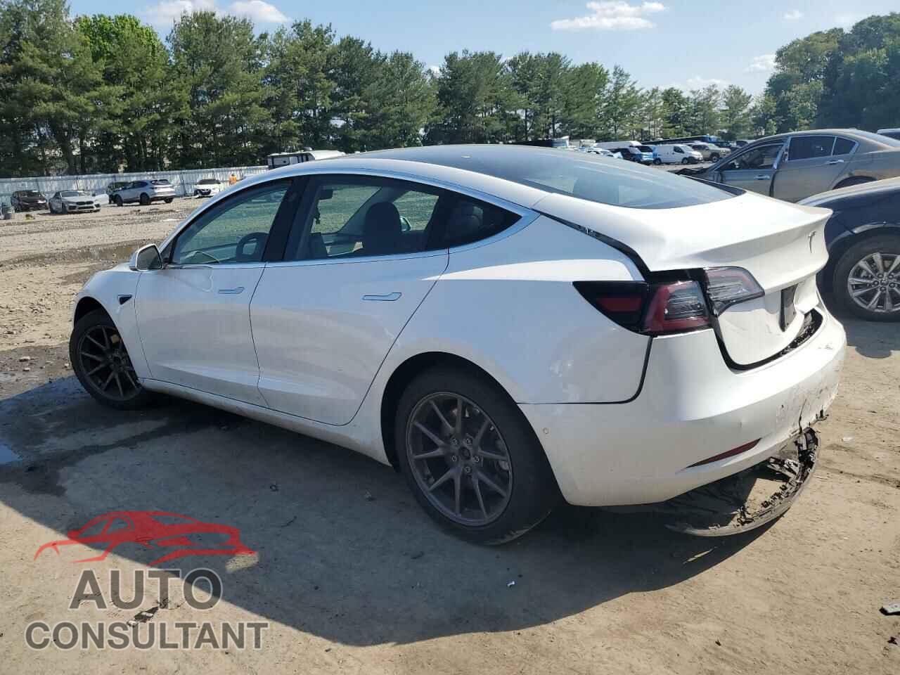 TESLA MODEL 3 2019 - 5YJ3E1EA4KF436571
