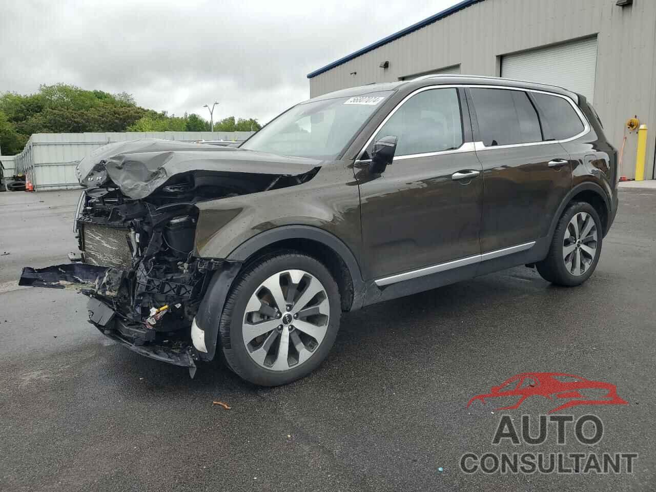 KIA TELLURIDE 2022 - 5XYP6DHC3NG264320