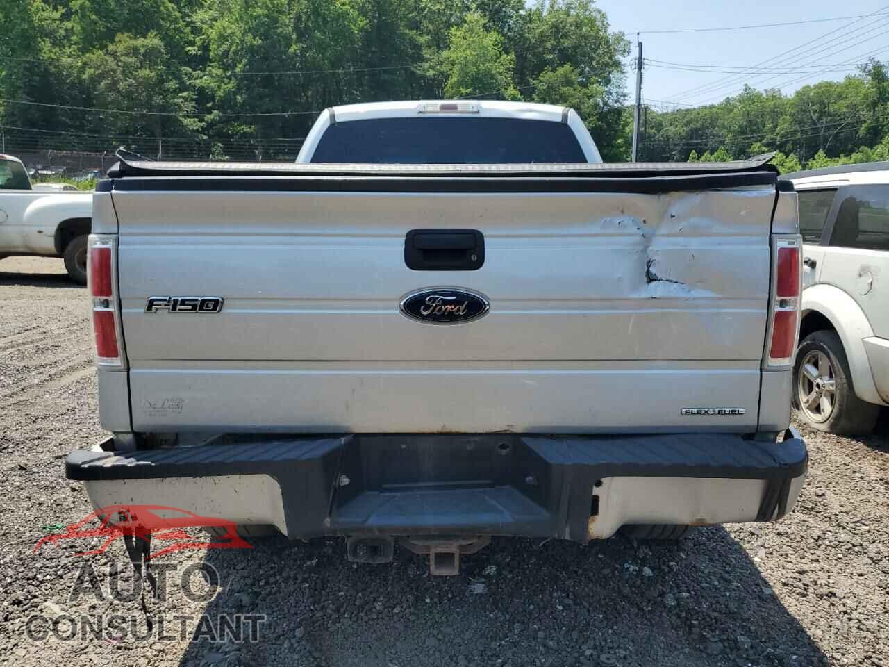 FORD F-150 2014 - 1FTFX1EF0EFA68196