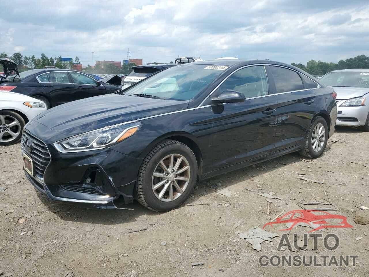 HYUNDAI SONATA 2019 - 5NPE24AF4KH773019