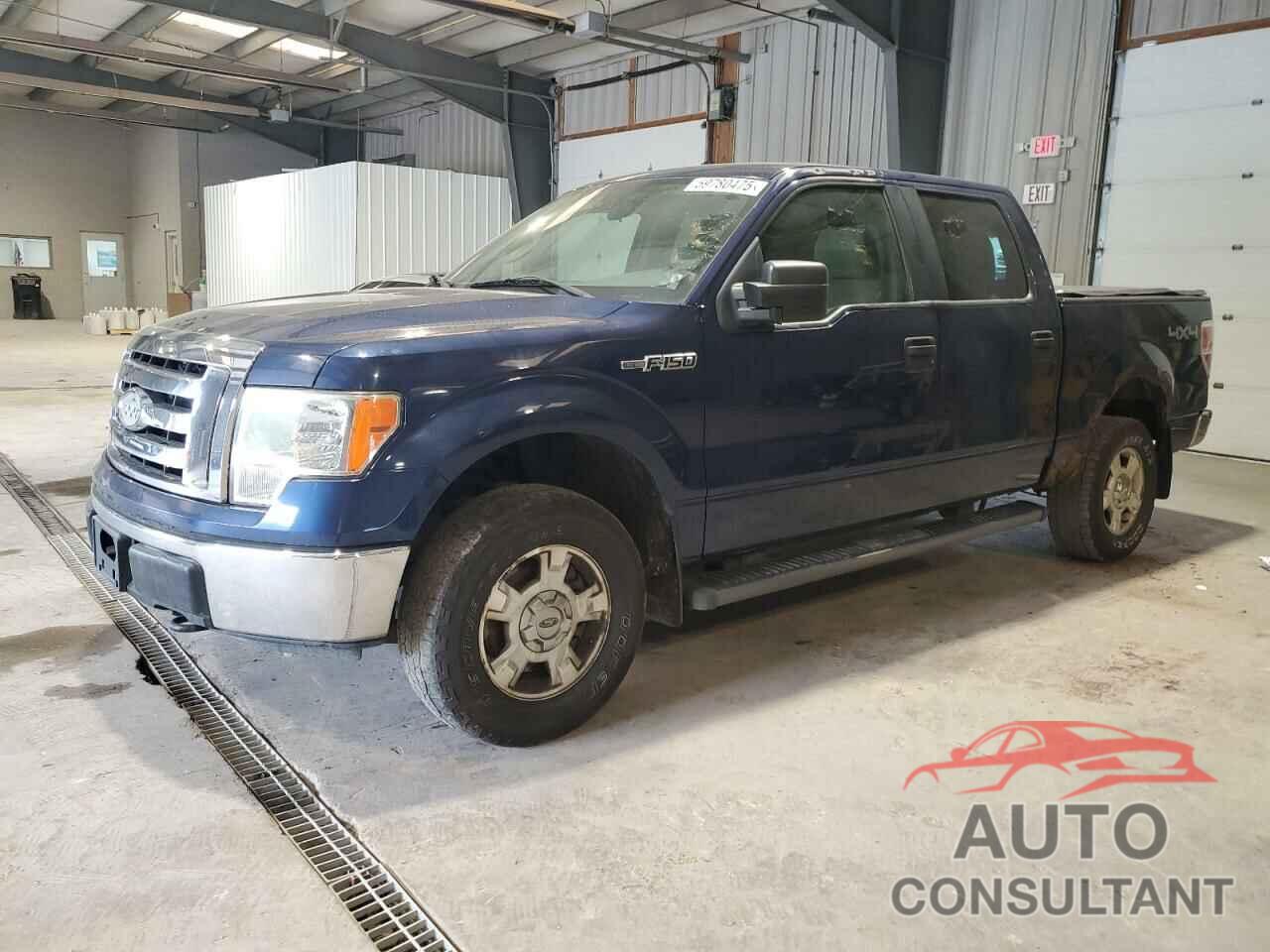 FORD F-150 2010 - 1FTEW1E80AFA72209