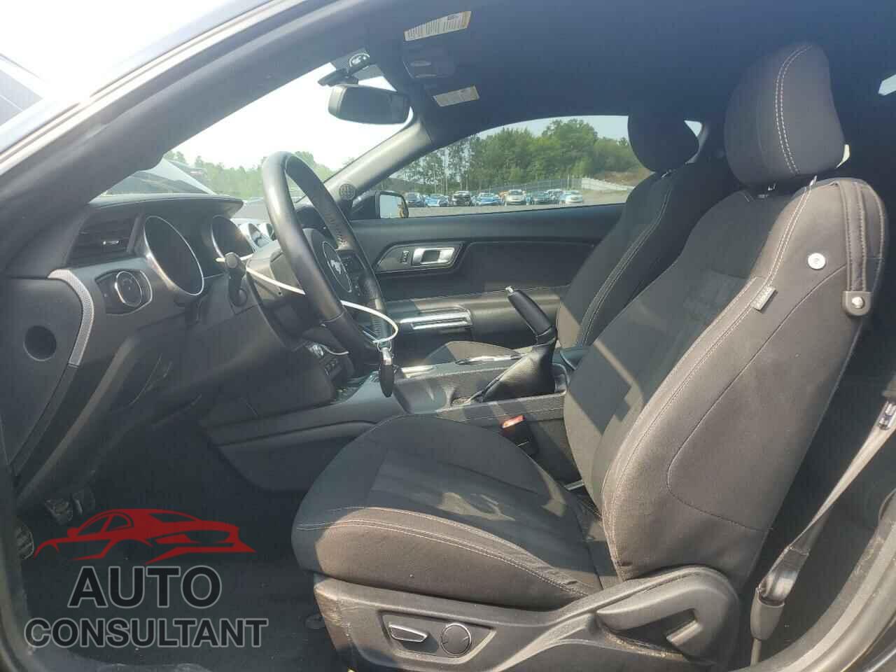 FORD MUSTANG 2019 - 1FA6P8CF3K5111433
