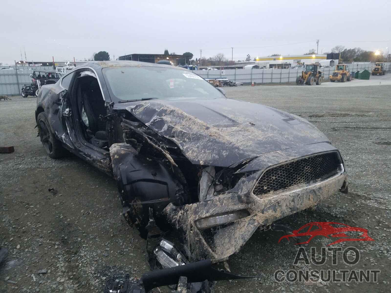 FORD MUSTANG 2019 - 1FA6P8K08K5506141