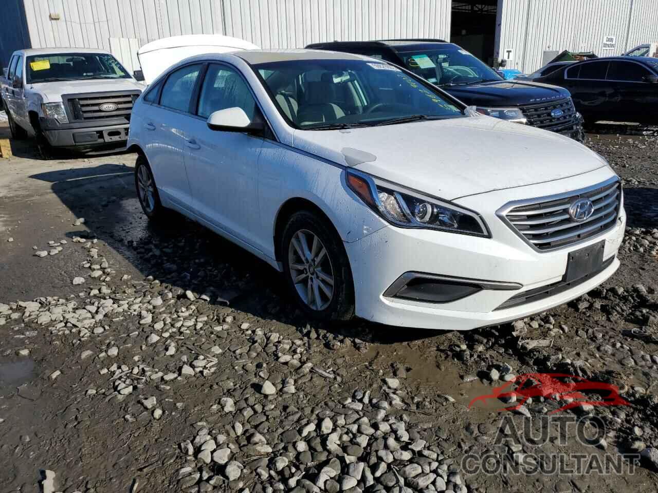 HYUNDAI SONATA 2017 - 5NPE24AF2HH536330