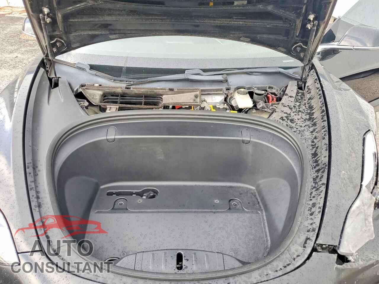 TESLA MODEL 3 2019 - 5YJ3E1EA3KF434875