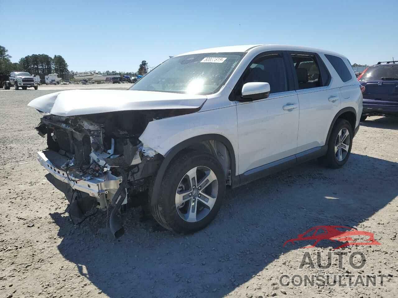HONDA PILOT 2024 - 5FNYG1H41RB018985