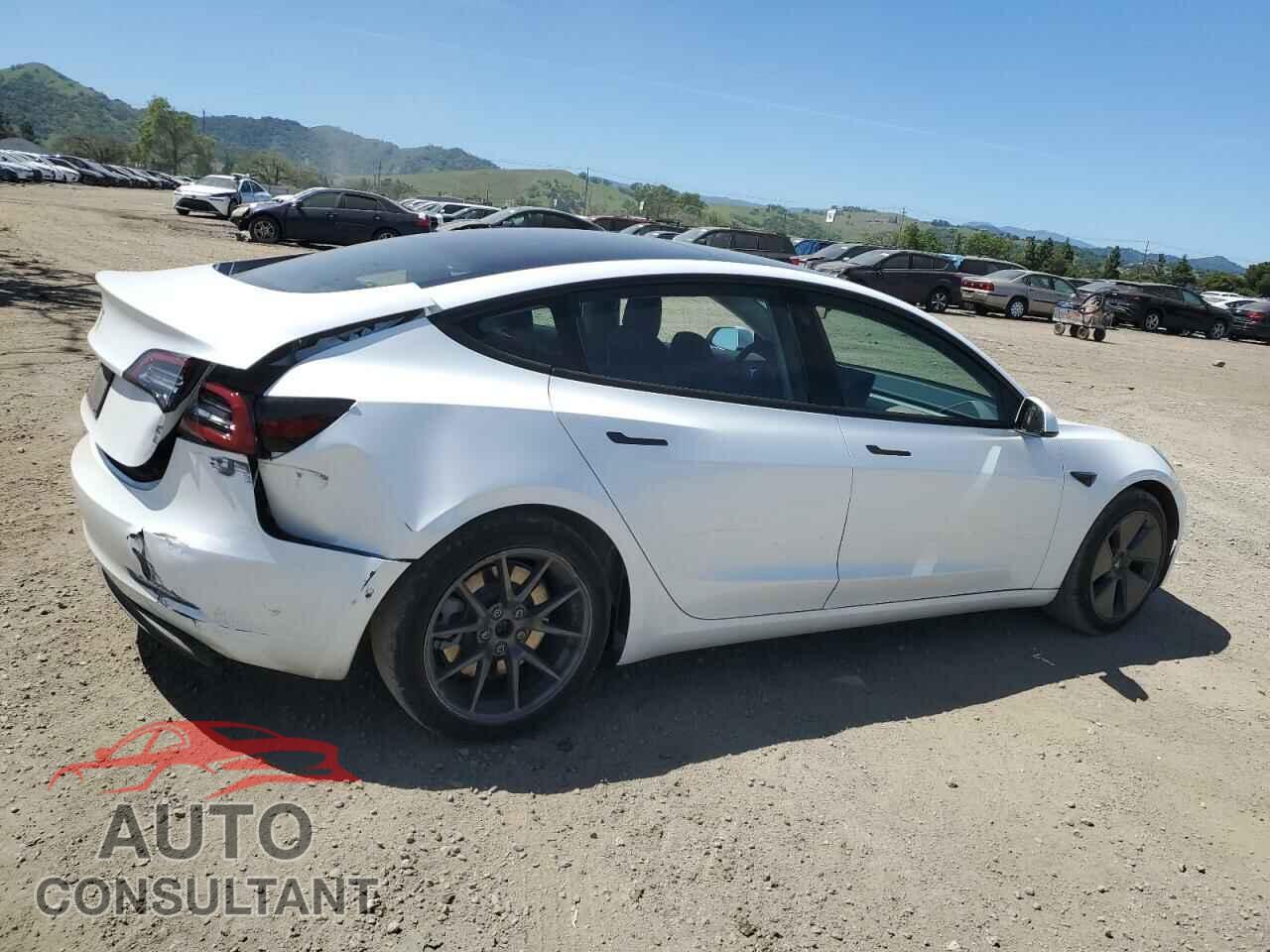 TESLA MODEL 3 2021 - 5YJ3E1EA0MF941493