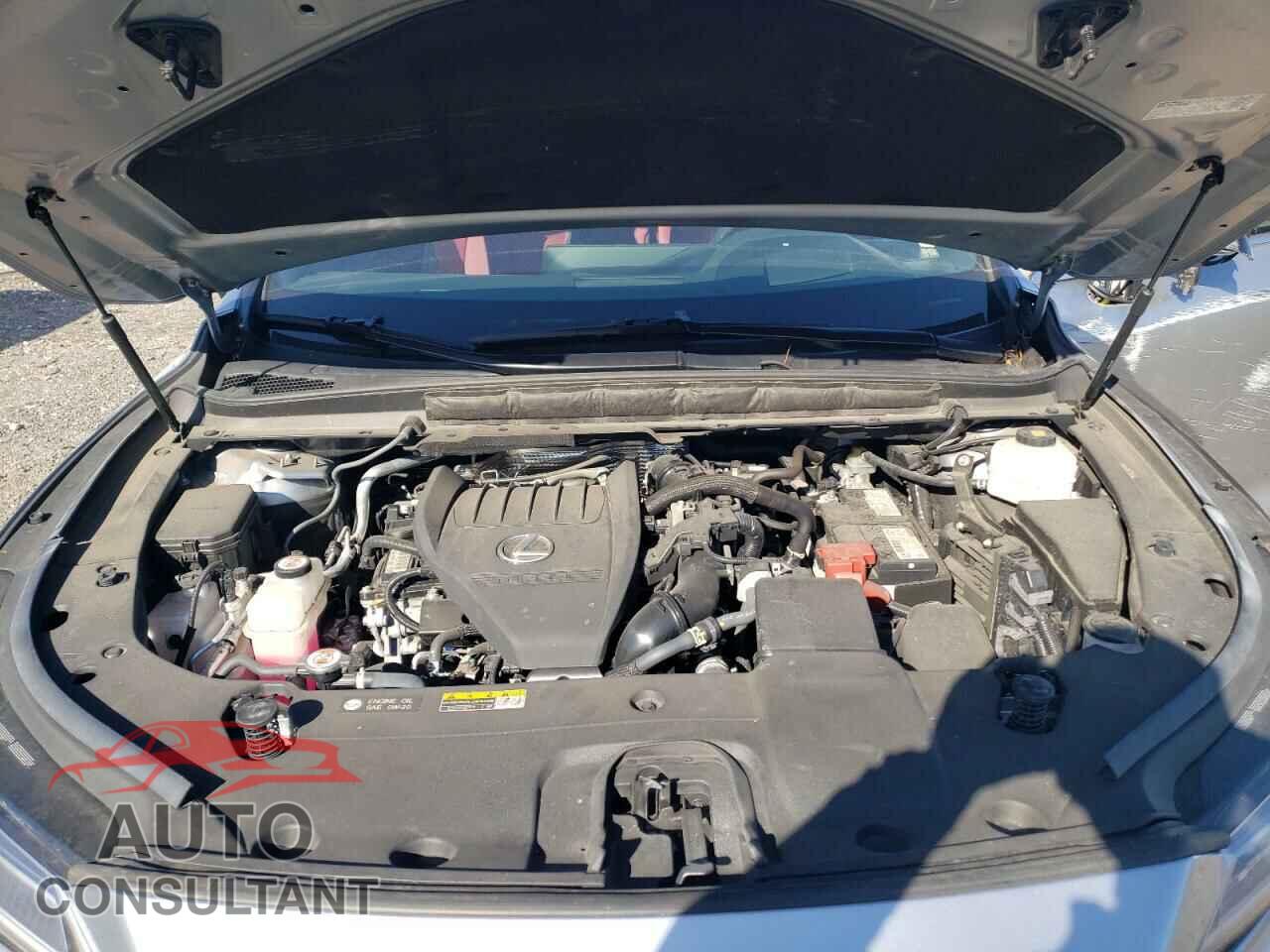 LEXUS RX350 2023 - 2T2BAMCA4PC005537