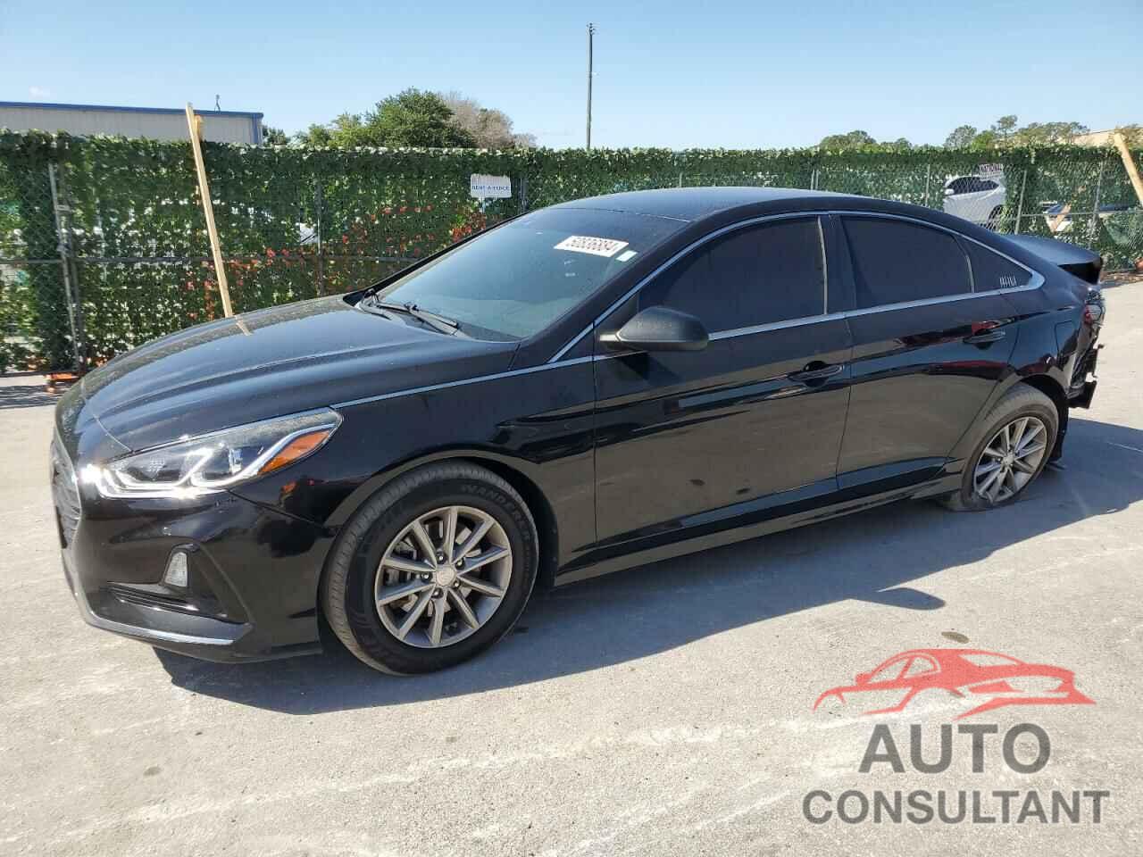 HYUNDAI SONATA 2019 - 5NPE24AF7KH784886