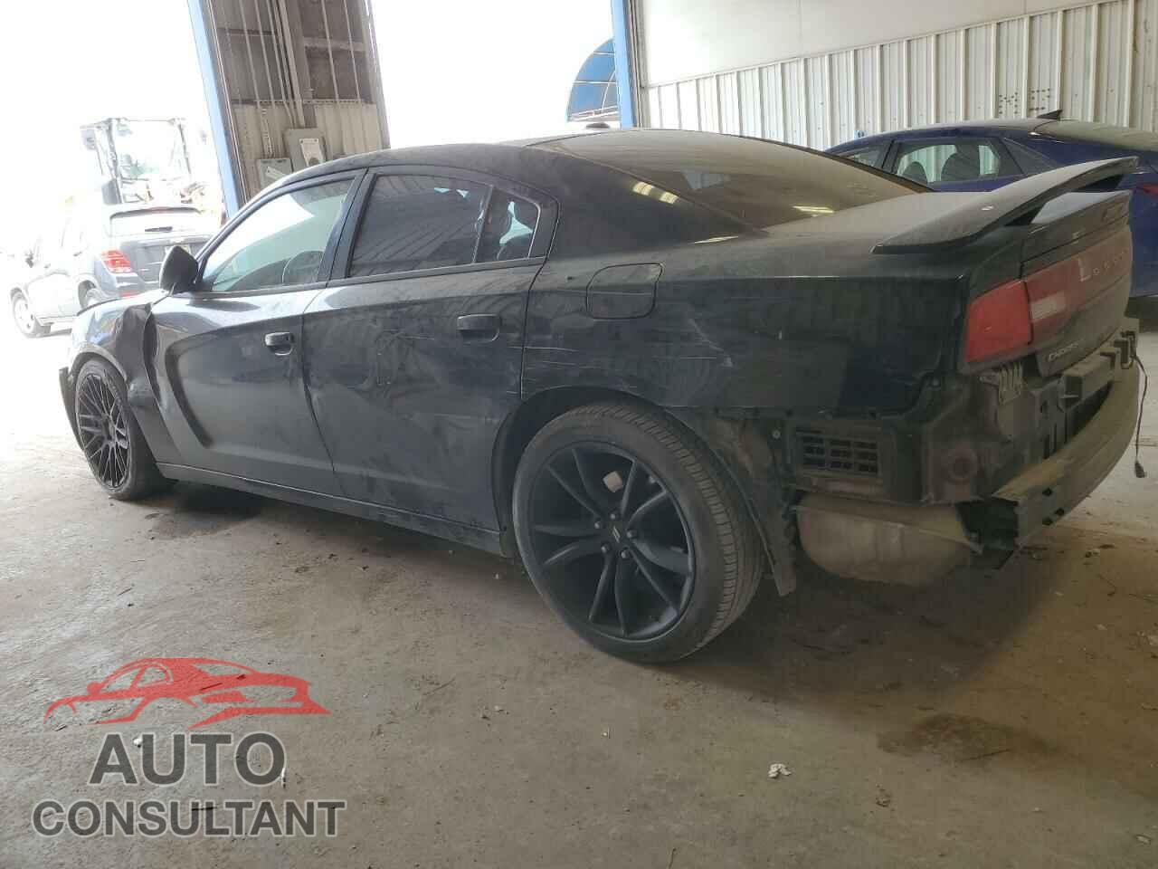 DODGE CHARGER 2013 - 2C3CDXHG5DH574403