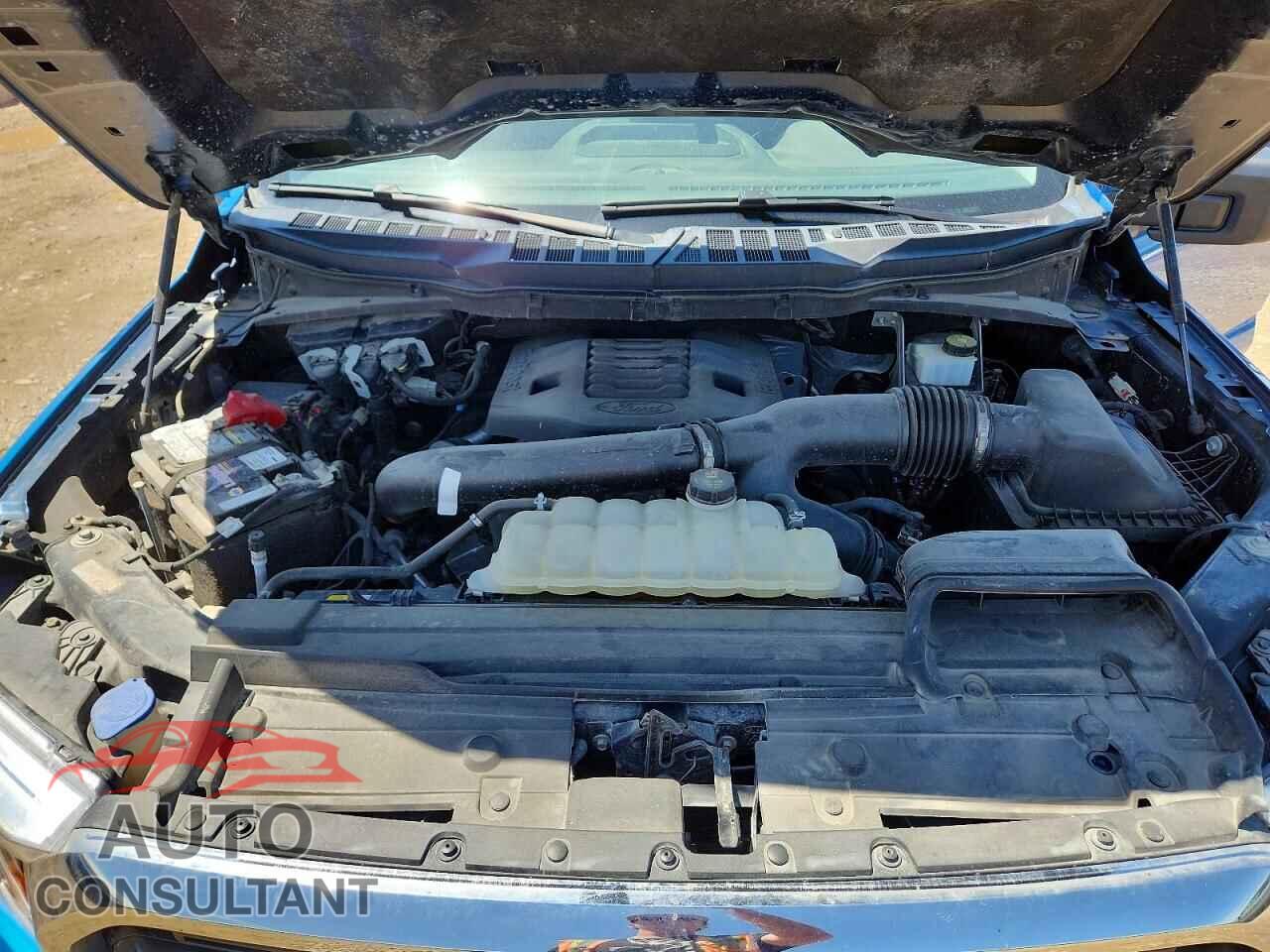 FORD F150 2021 - 1FTFW1E85MFB03656