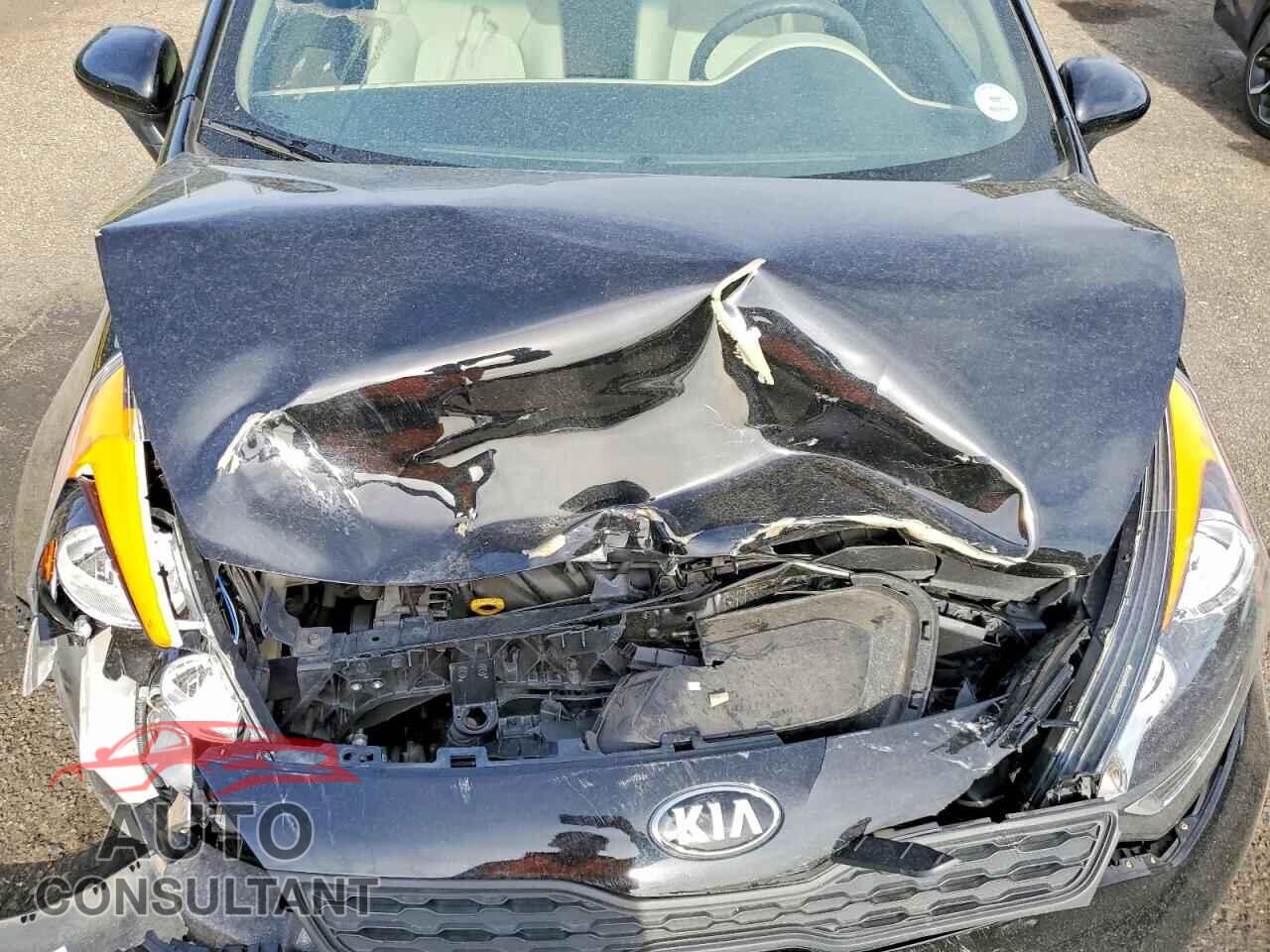 KIA RIO 2013 - KNADM5A39D6231409