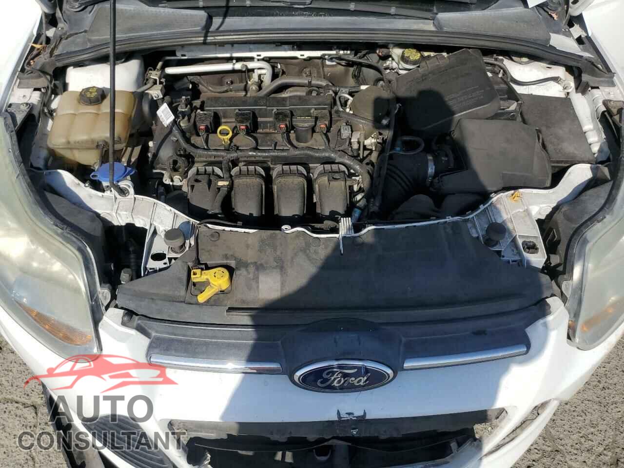 FORD FOCUS 2014 - 1FADP3F21EL131747