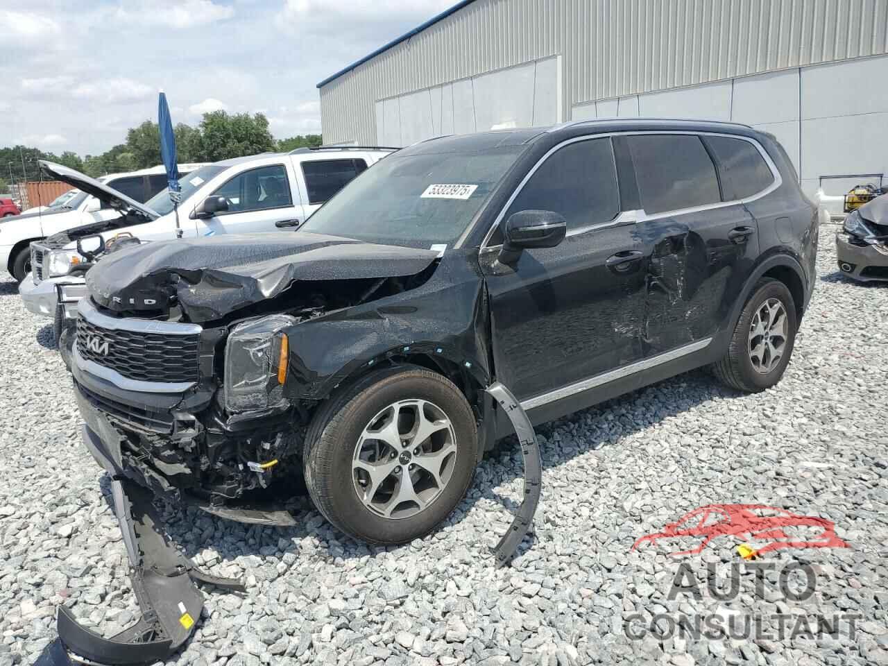 KIA TELLURIDE 2022 - 5XYP34HC8NG312371