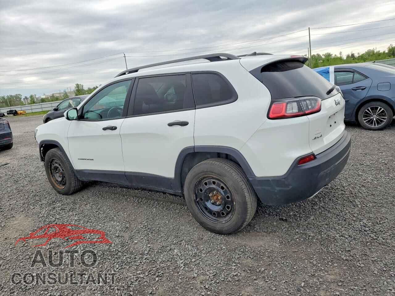 JEEP CHEROKEE 2019 - 1C4PJMAX0KD142648