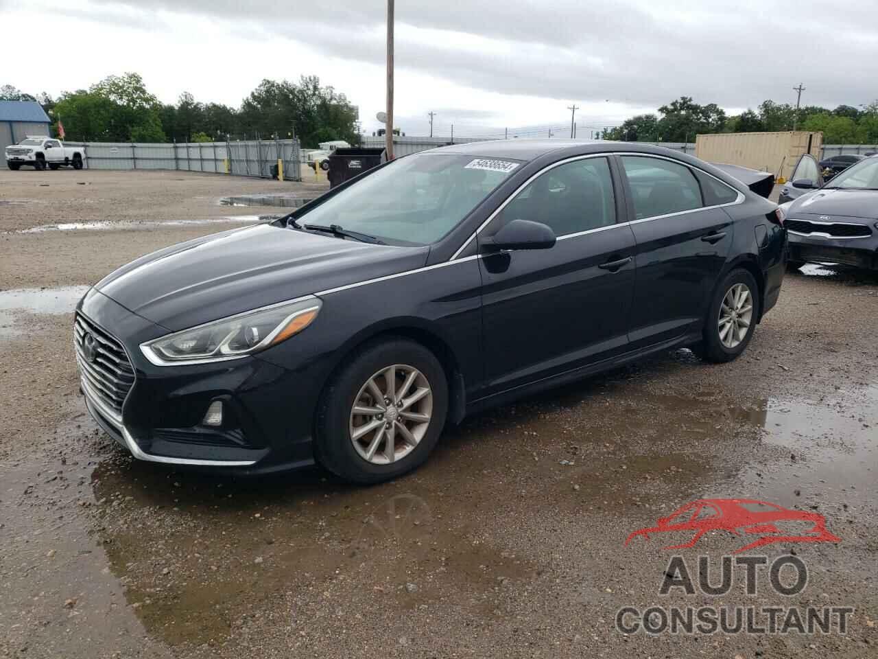 HYUNDAI SONATA 2019 - 5NPE24AFXKH786647