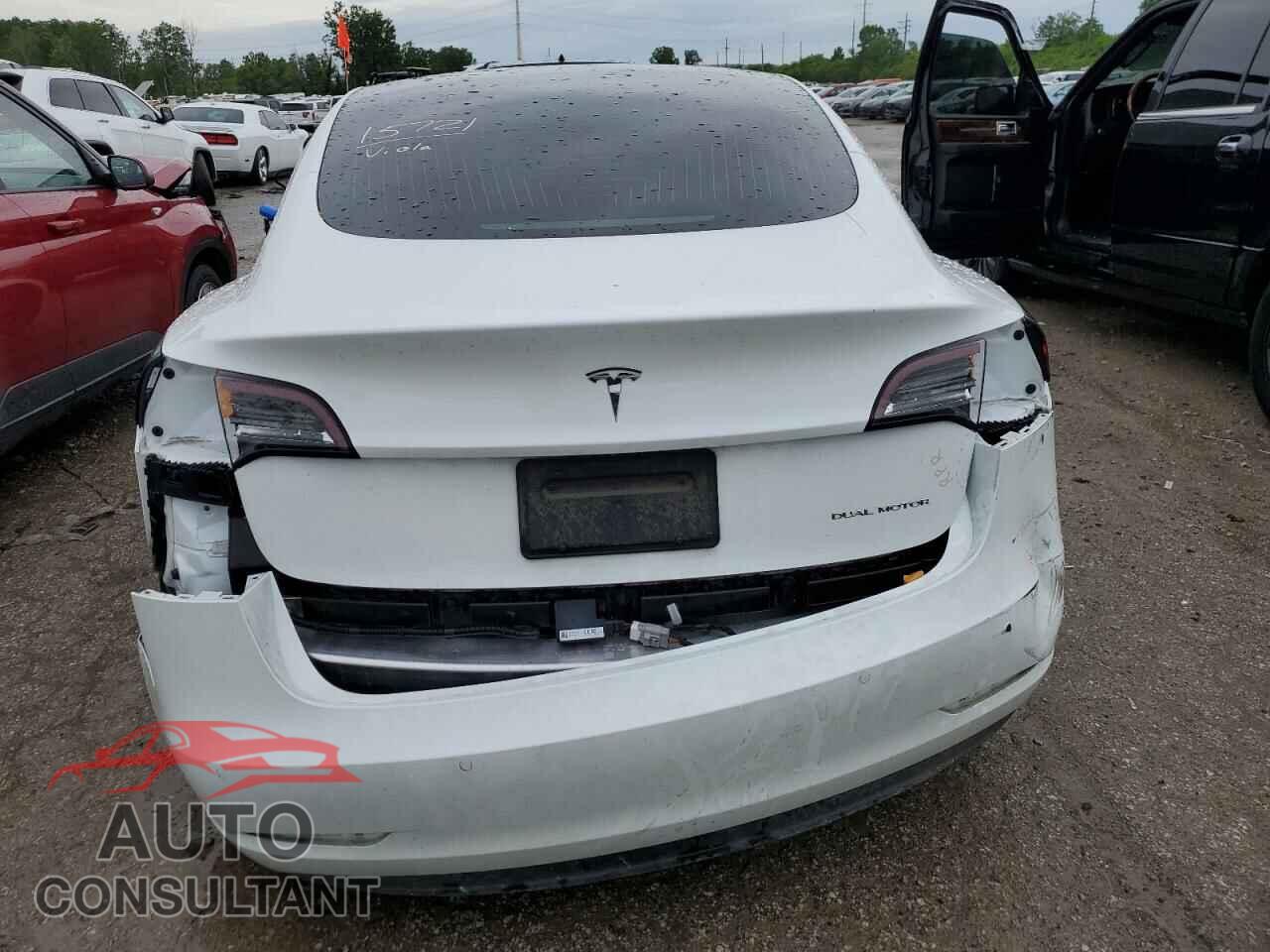 TESLA MODEL 3 2019 - 5YJ3E1EB3KF448204