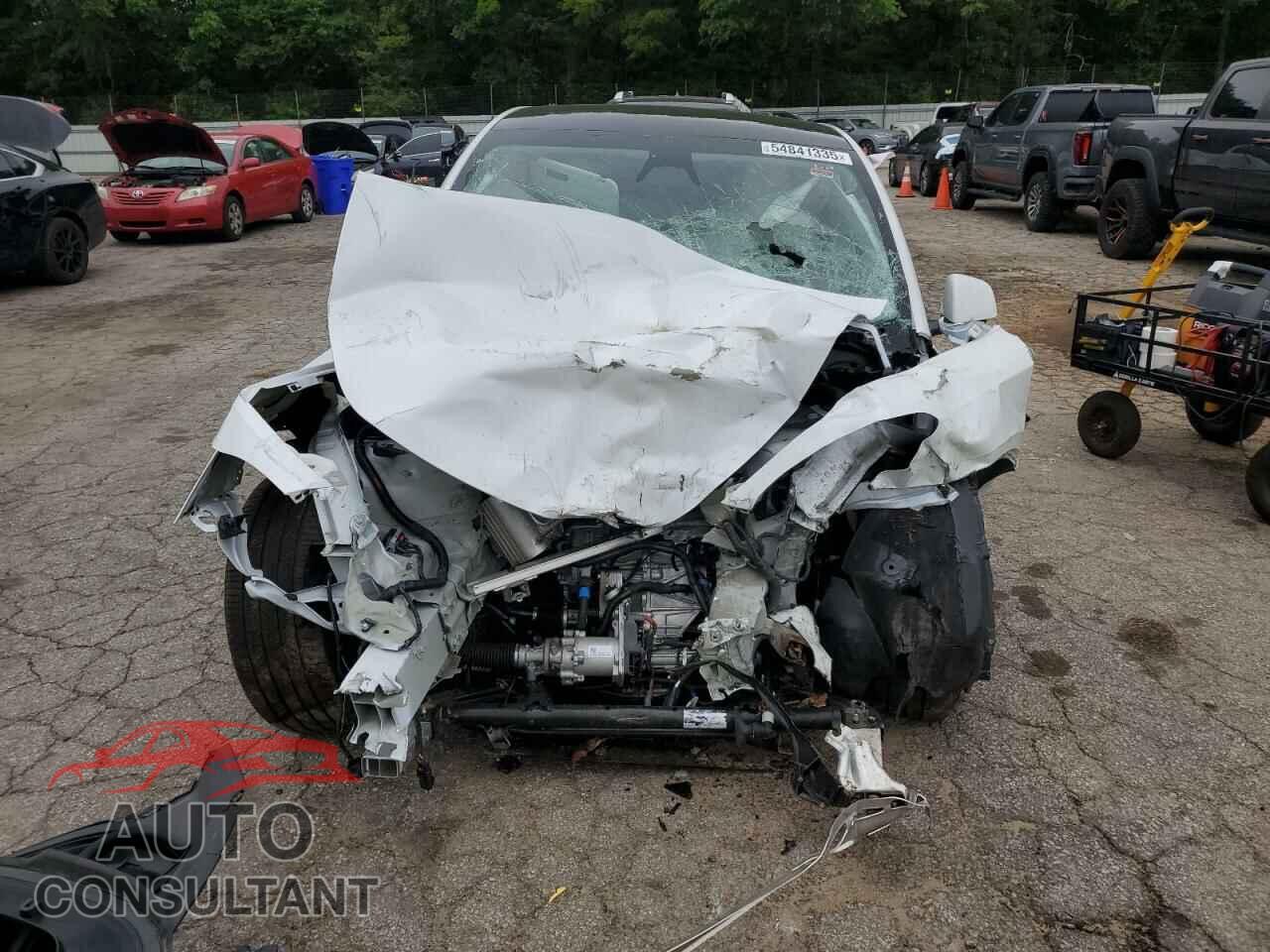 TESLA MODEL Y 2024 - 7SAYGDEE5RA235339