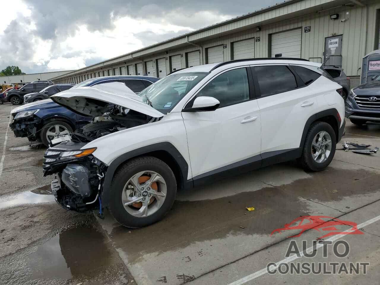 HYUNDAI TUCSON 2024 - 5NMJB3DE8RH305359