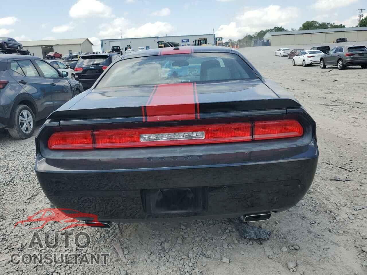 DODGE CHALLENGER 2014 - 2C3CDYAG0EH274124