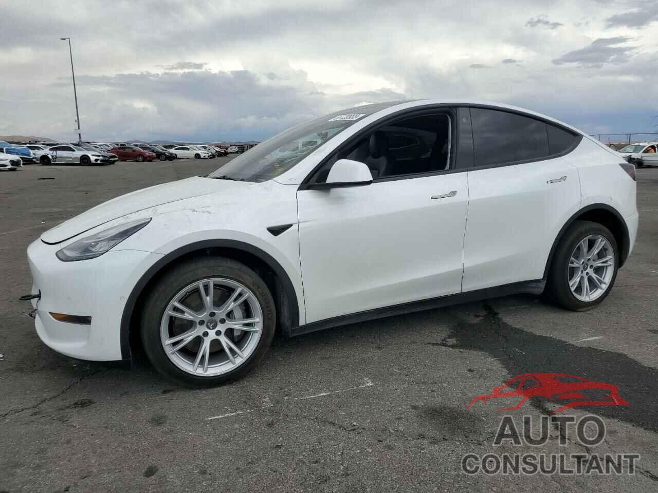 TESLA MODEL Y 2021 - 5YJYGDEE1MF232253
