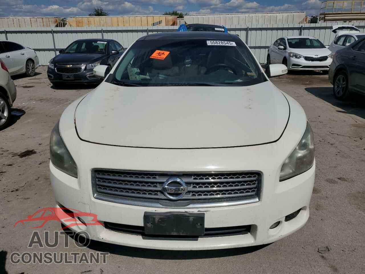 NISSAN MAXIMA 2011 - 1N4AA5AP5BC822262