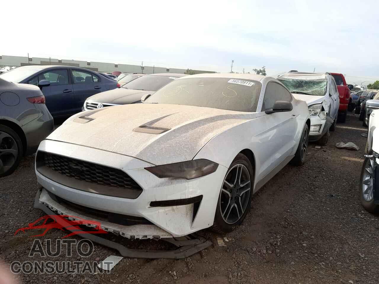 FORD MUSTANG 2019 - 1FA6P8TH0K5193252