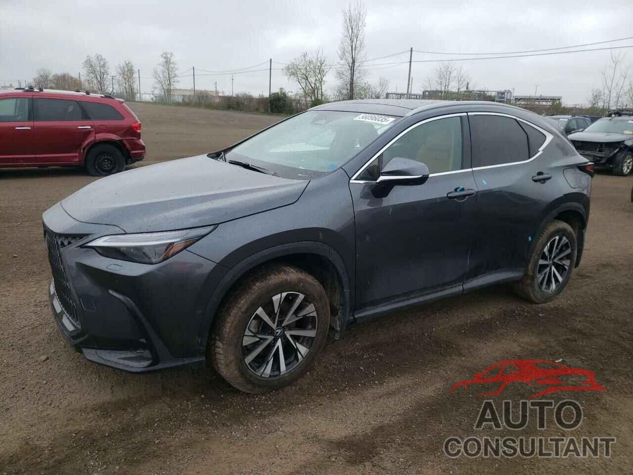 LEXUS NX 350H BA 2025 - 2T2GKCEZ5SC047322