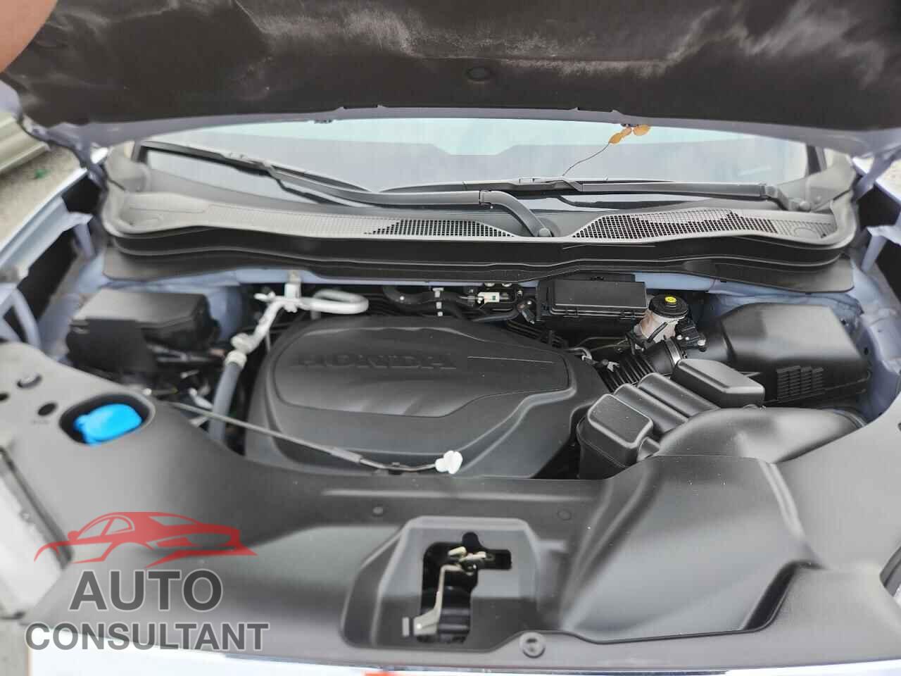 HONDA RIDGELINE 2023 - 5FPYK3F77PB005136