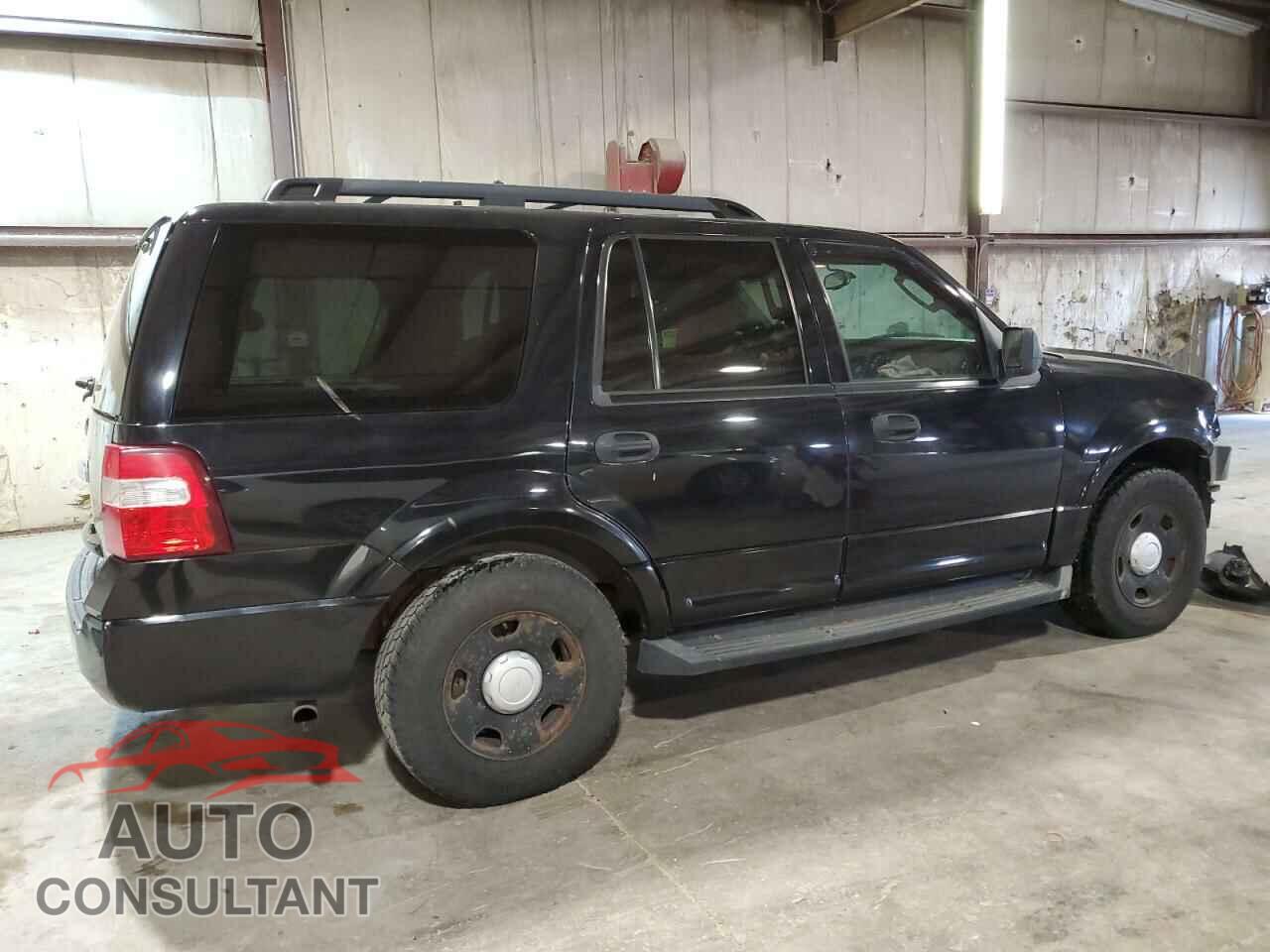 FORD EXPEDITION 2009 - 1FMFU16599EB03212