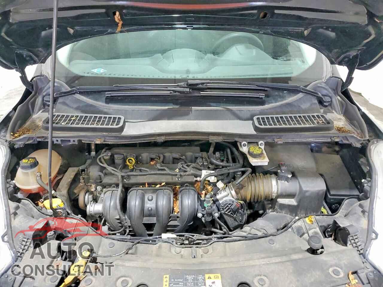 FORD ESCAPE 2017 - 1FMCU0F73HUB76014
