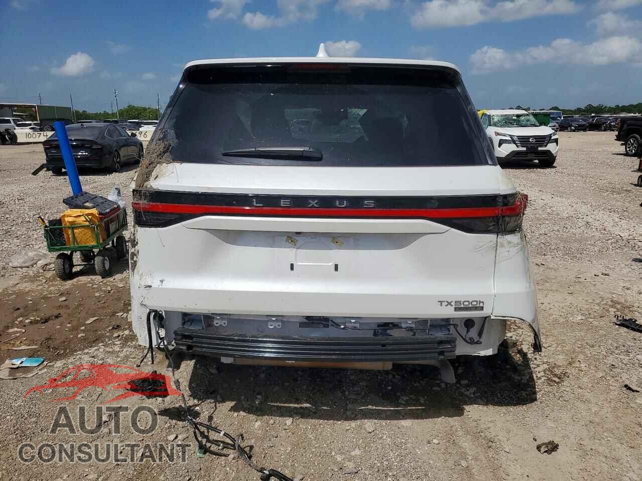 LEXUS UNKNOWN 2026 - 5TDABAB64TS020243
