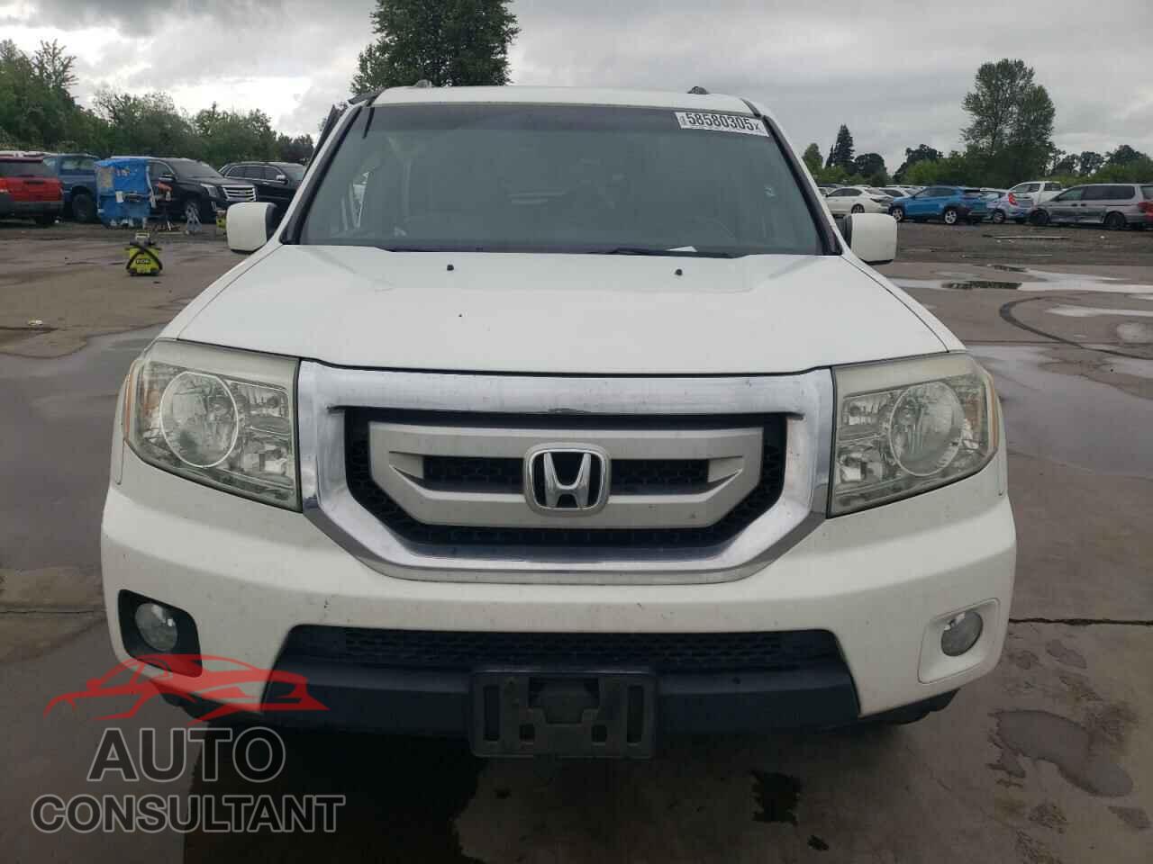 HONDA PILOT 2010 - 5FNYF3H44AB007742